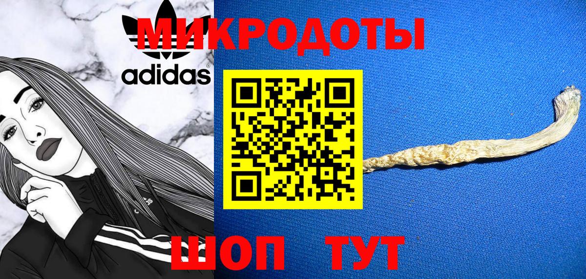 Псилоцибиновые грибы Psilocybe  Вход с VPN  Псилоцибиновые грибы MAGIC MUSHROOMS  Новороссийск 