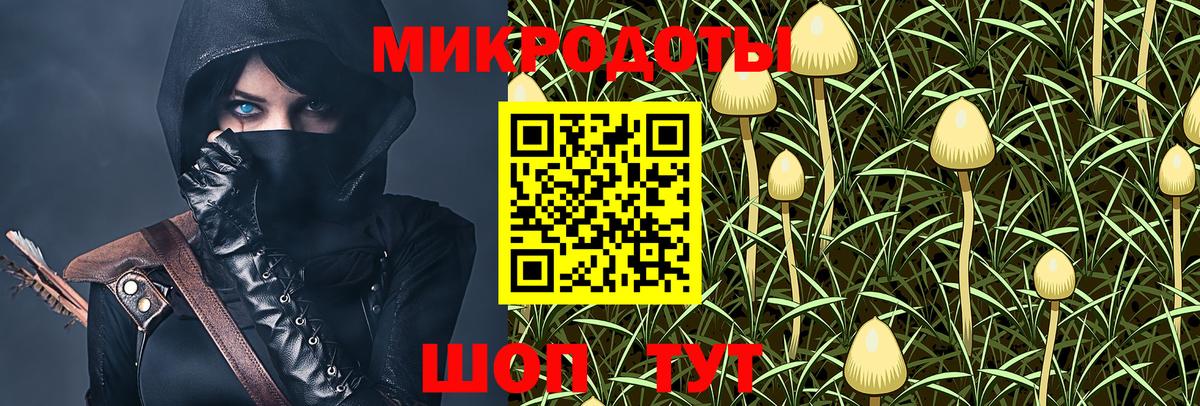 Галлюциногенные грибы прущие грибы Новороссийск